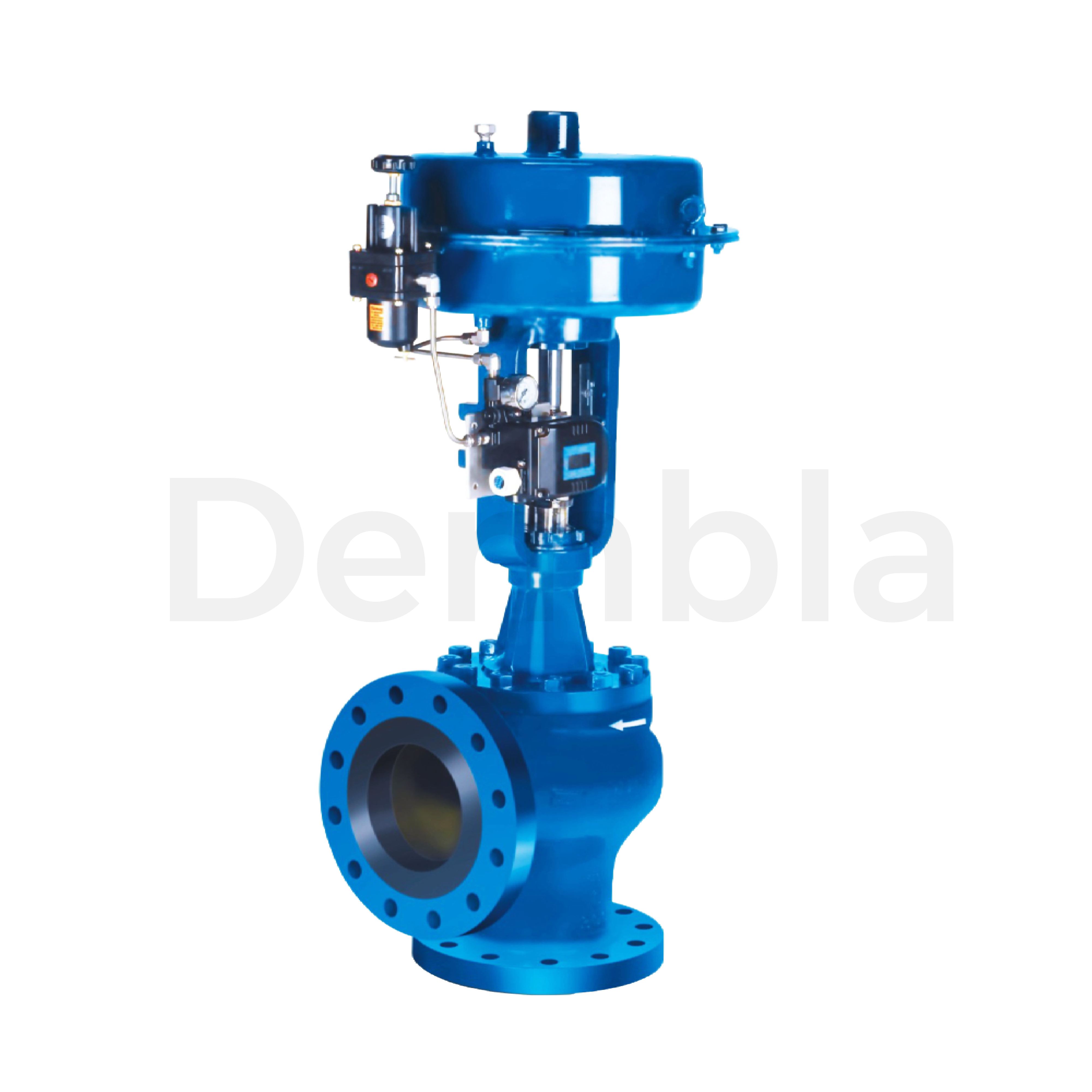 Angle Globe Valve