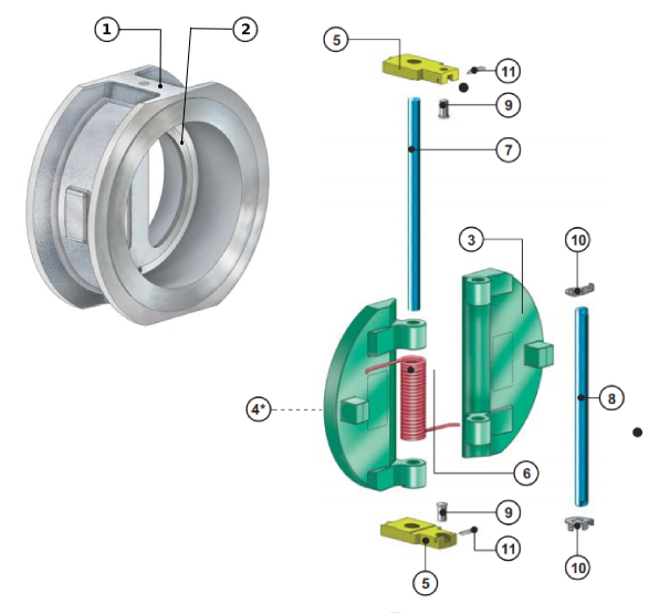 dual plate check valves