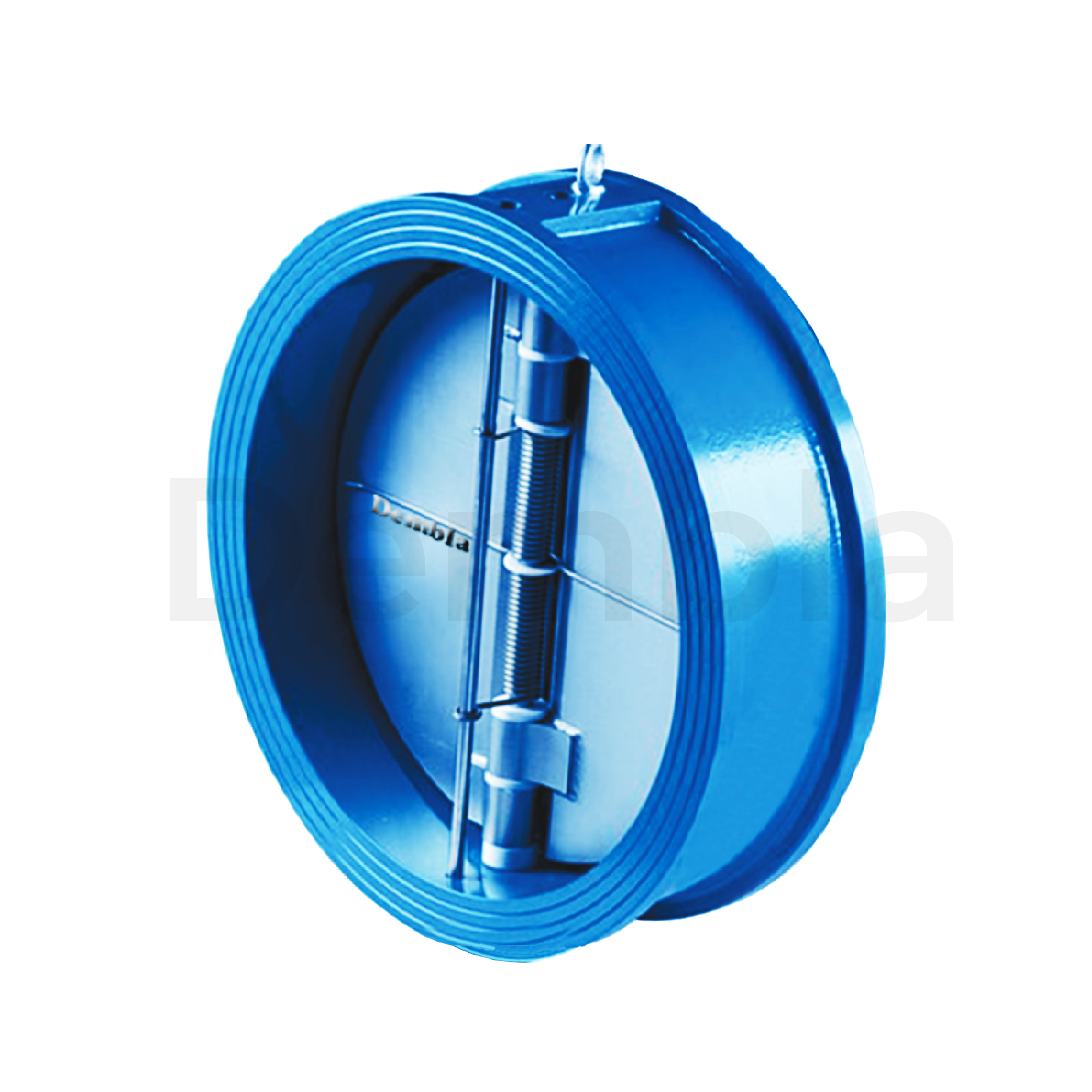 Dual Plate Check Valve