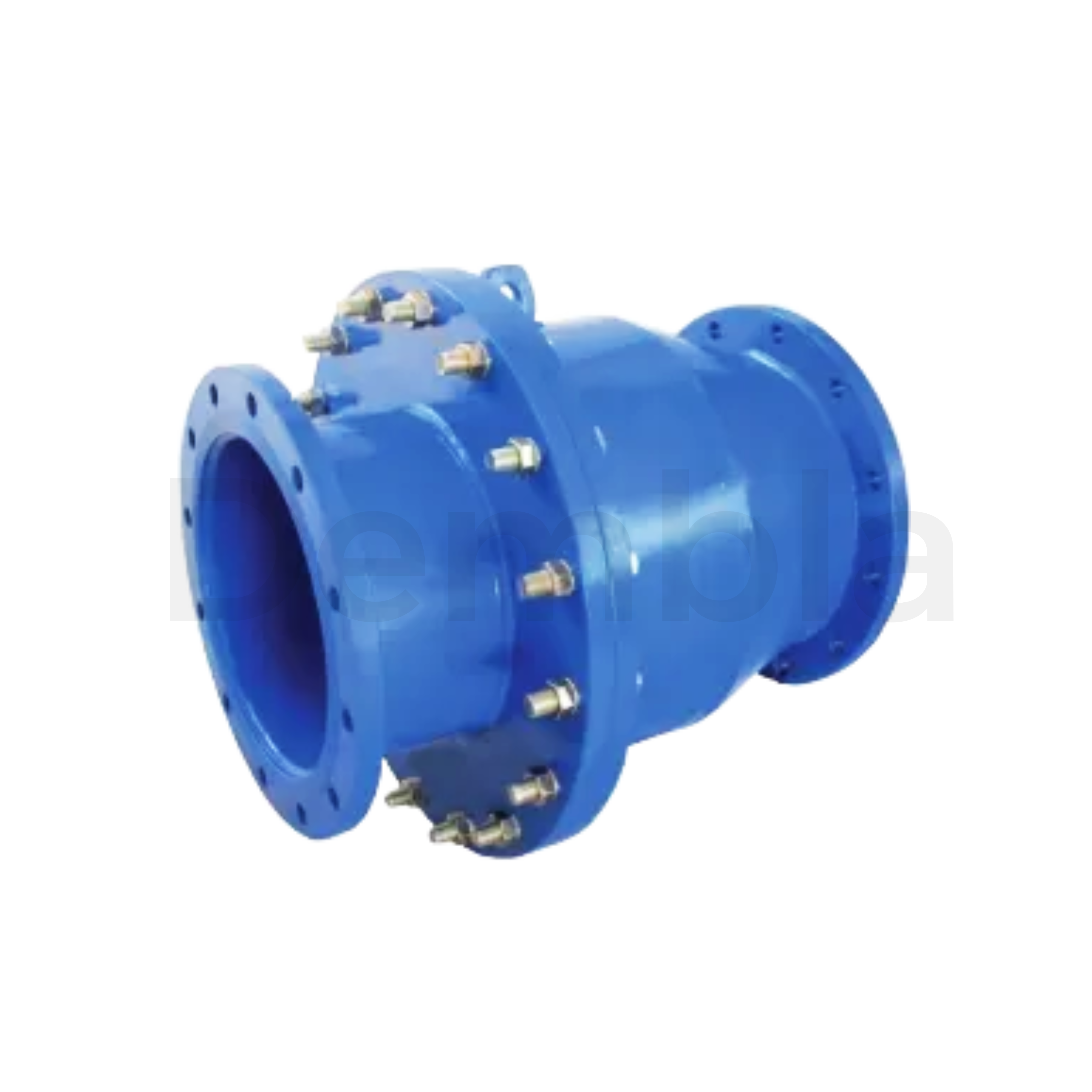 Non Slam Spring Check Valve