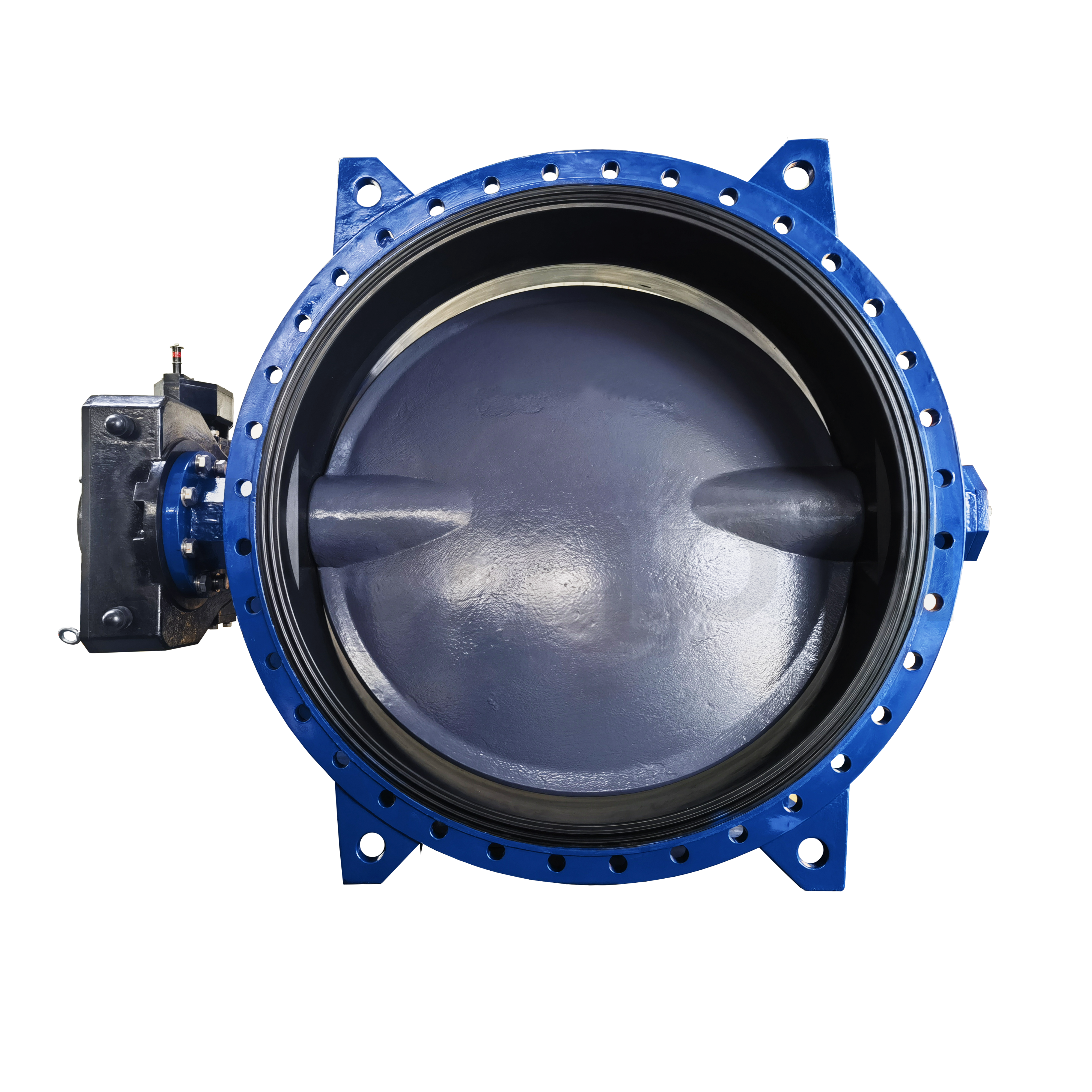 Resilient seated Butterfly Valve